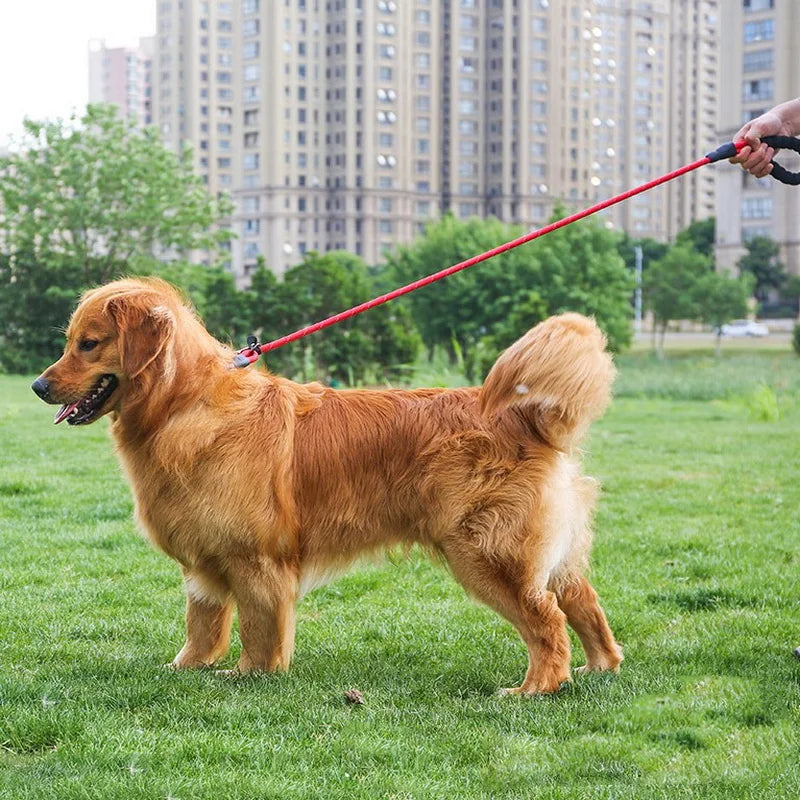 Dog Leash Nylon Reflective Running Leashes Rope Collar 2 in 1 Adjustable Collar Small Meidum Large Pet Harness Leash Dog Collars
