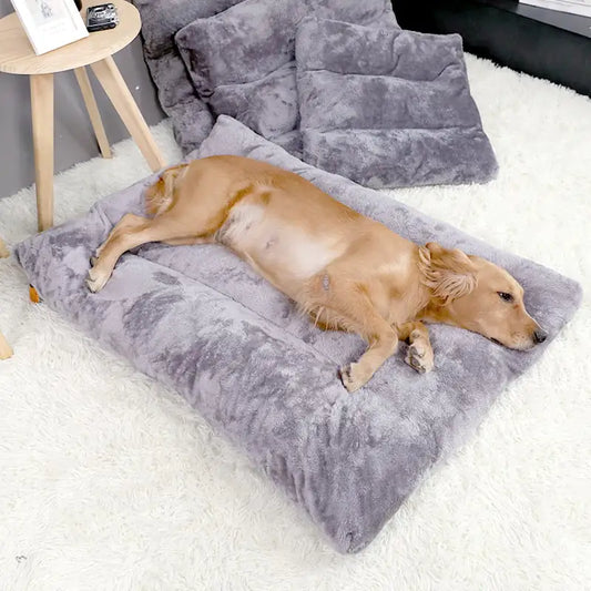 Plush Dog Bed with Quilted Base