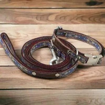 Finnigan's Royal Collection Dog Collar Set-0